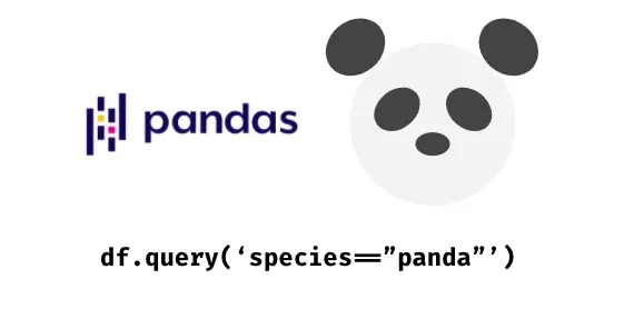 Meet Pandas: Query Dataframe
