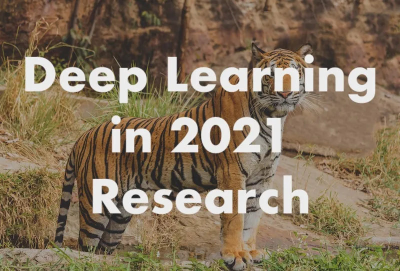 A Look Back at Deep Learning in 2021 (Research)