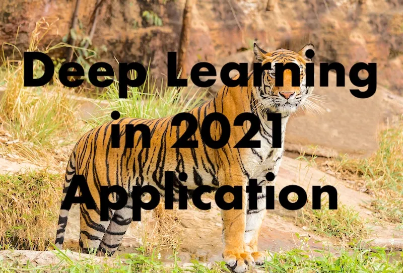 A Look Back at Deep Learning in 2021 (Application)