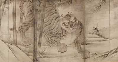 Meet Pandas: Grouping and Boxplot | Hippocampus's Garden